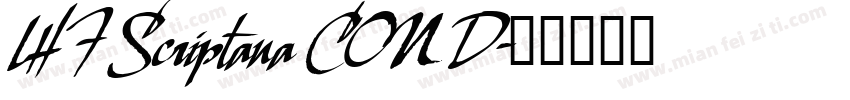 LHF Scriptana COND字体转换